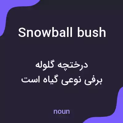 معنی snowball bush به فارسی معنی snowball bush به فارسی