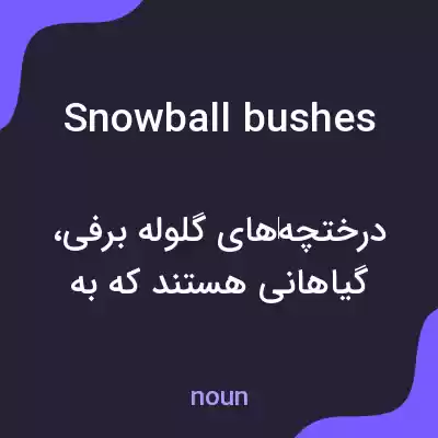 معنی snowball bushes به فارسی معنی snowball bushes به فارسی