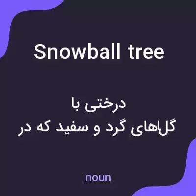 معنی snowball tree به فارسی معنی snowball tree به فارسی
