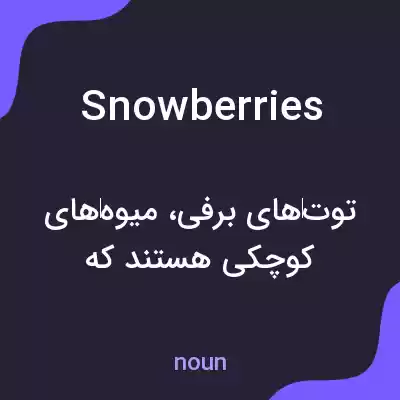 معنی snowberries به فارسی معنی snowberries به فارسی