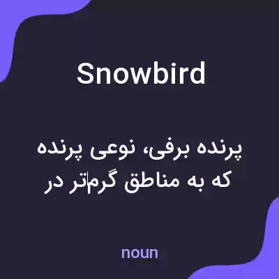 معنی snowbird به فارسی معنی snowbird به فارسی