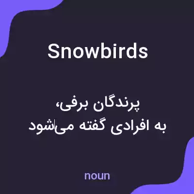معنی snowbirds به فارسی معنی snowbirds به فارسی