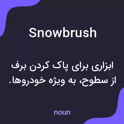 معنی snowbrush به فارسی معنی snowbrush به فارسی