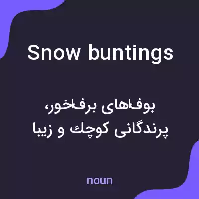 معنی snow buntings به فارسی معنی snow buntings به فارسی