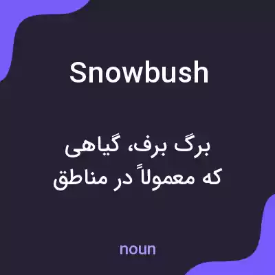 معنی snowbush به فارسی معنی snowbush به فارسی