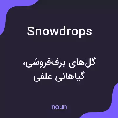 معنی snowdrops به فارسی معنی snowdrops به فارسی