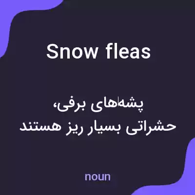 معنی snow fleas به فارسی معنی snow fleas به فارسی
