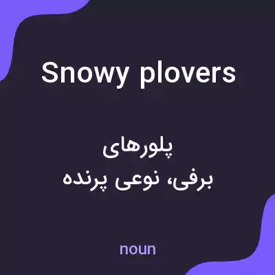 معنی snowy plovers به فارسی معنی snowy plovers به فارسی