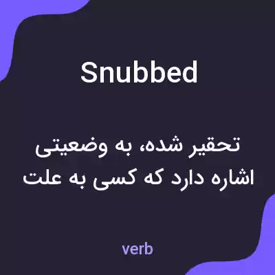 معنی snubbed به فارسی معنی snubbed به فارسی