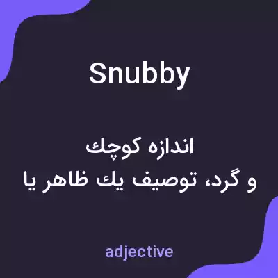 معنی snubby به فارسی معنی snubby به فارسی