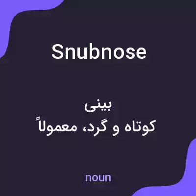 معنی snubnose به فارسی معنی snubnose به فارسی