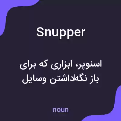 معنی snupper به فارسی معنی snupper به فارسی