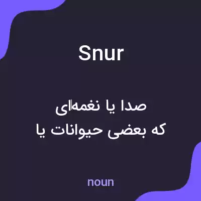 معنی snur به فارسی معنی snur به فارسی