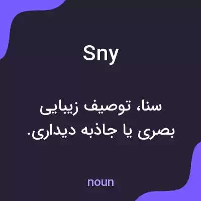 معنی sny به فارسی معنی sny به فارسی