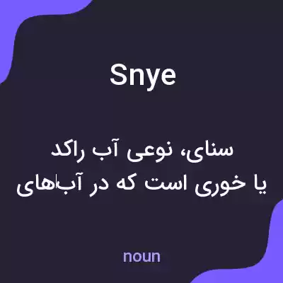 معنی snye به فارسی معنی snye به فارسی