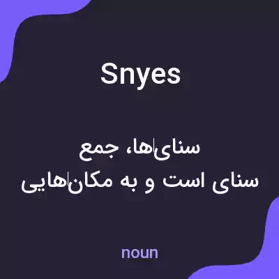 معنی snyes به فارسی معنی snyes به فارسی