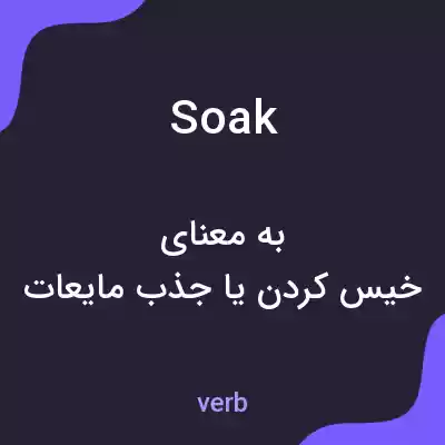 معنی soak به فارسی