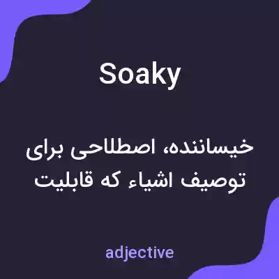 معنی soaky به فارسی معنی soaky به فارسی