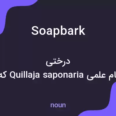 معنی soapbark به فارسی معنی soapbark به فارسی