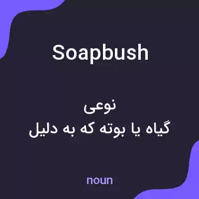 معنی soapbush به فارسی معنی soapbush به فارسی