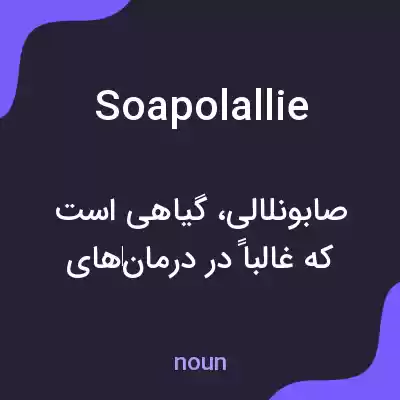 معنی soapolallie به فارسی معنی soapolallie به فارسی