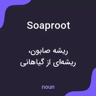 معنی soaproot به فارسی معنی soaproot به فارسی