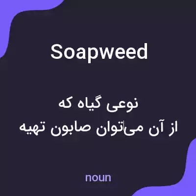 معنی soapweed به فارسی معنی soapweed به فارسی