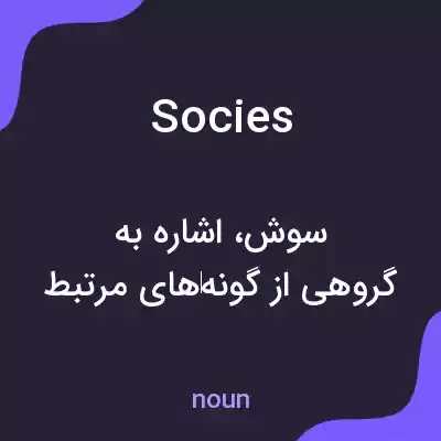 معنی socies به فارسی معنی socies به فارسی
