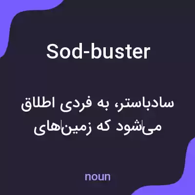 معنی sod-buster به فارسی معنی sod-buster به فارسی