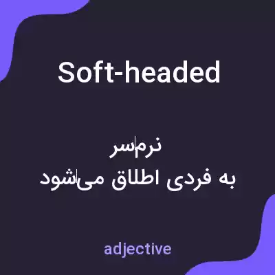 معنی soft-headed به فارسی معنی soft-headed به فارسی