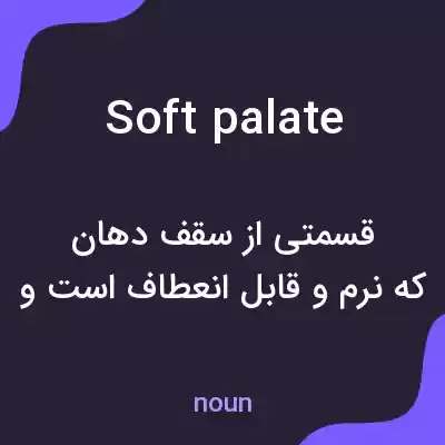 معنی soft palate به فارسی