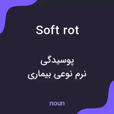 معنی soft rot به فارسی