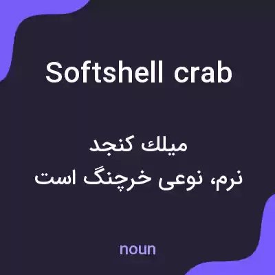 معنی softshell crab به فارسی معنی softshell crab به فارسی