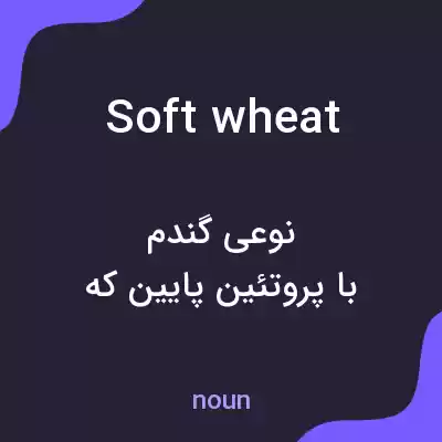 معنی soft wheat به فارسی معنی soft wheat به فارسی