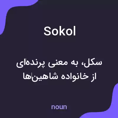 معنی sokol به فارسی معنی sokol به فارسی