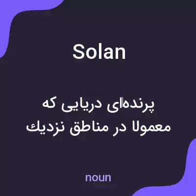 معنی solan به فارسی