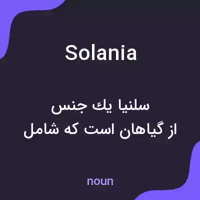 معنی solania به فارسی معنی solania به فارسی