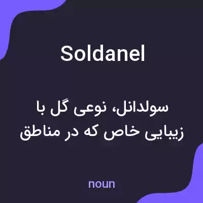 معنی soldanel به فارسی معنی soldanel به فارسی