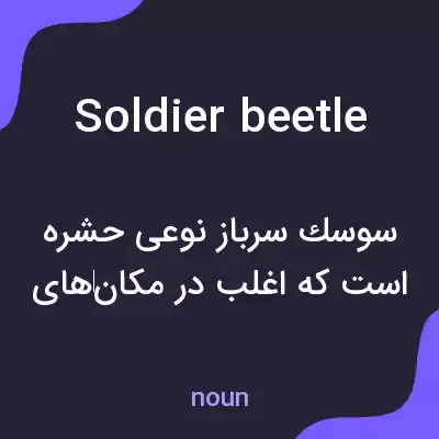 معنی soldier beetle به فارسی