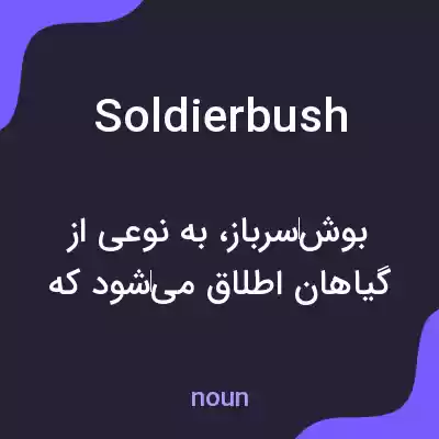 معنی soldierbush به فارسی معنی soldierbush به فارسی