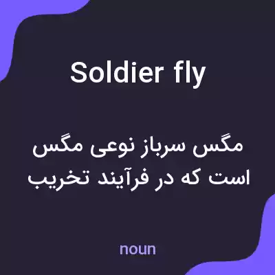 معنی soldier fly به فارسی معنی soldier fly به فارسی