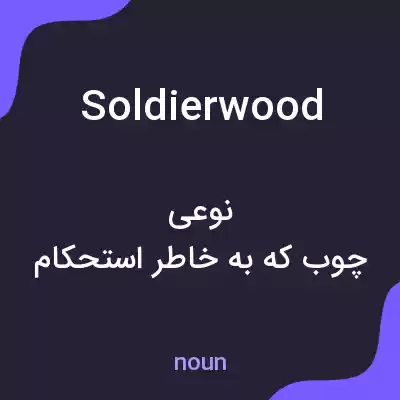 معنی soldierwood به فارسی معنی soldierwood به فارسی