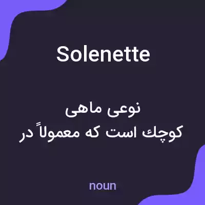 معنی solenette به فارسی