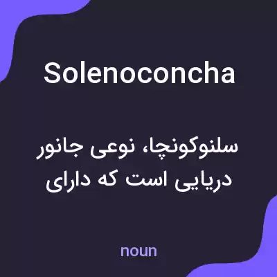 معنی solenoconcha به فارسی معنی solenoconcha به فارسی