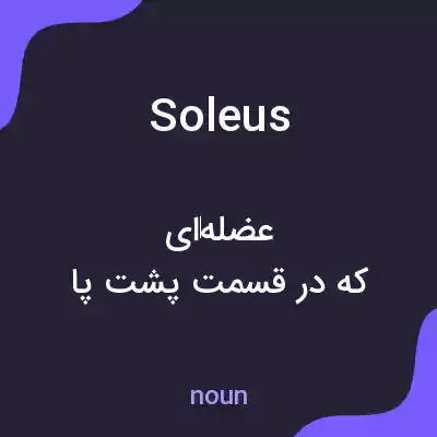 معنی soleus به فارسی معنی soleus به فارسی