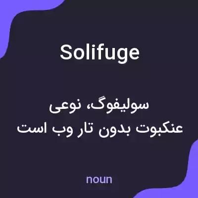 معنی solifuge به فارسی معنی solifuge به فارسی