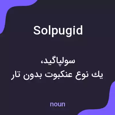 معنی solpugid به فارسی معنی solpugid به فارسی