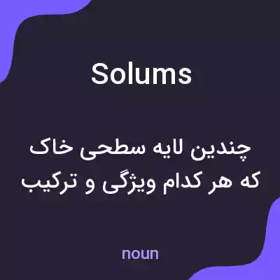 معنی solums به فارسی معنی solums به فارسی