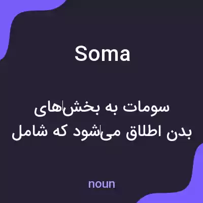 معنی soma به فارسی معنی soma به فارسی