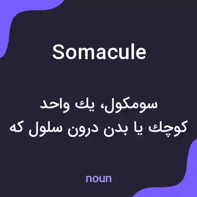 معنی somacule به فارسی معنی somacule به فارسی